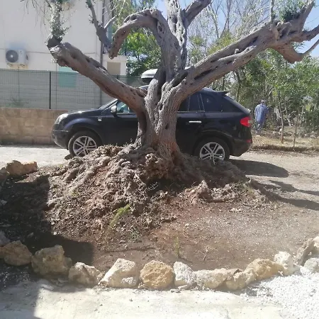Casa Vacanze Marzamemi * Marzamemi